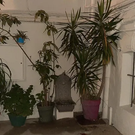 Winter Palace Beausejour